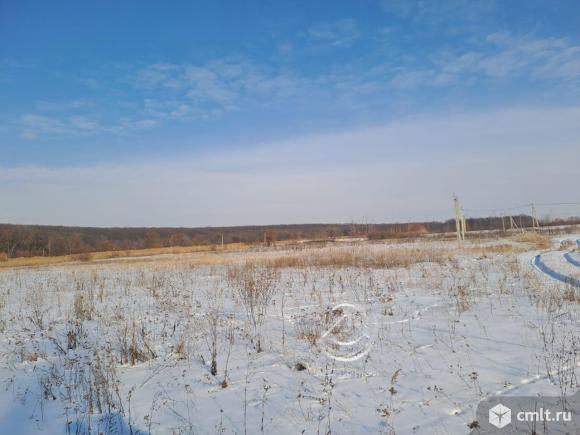 Участок 8 сот.. Фото 3.