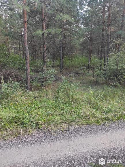 Сомово, Большая семья СНТ. 15 соток, рядом сосновый лес, р. Фото 14.