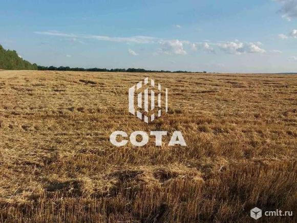 Участок 7,5 сот.. Фото 5.