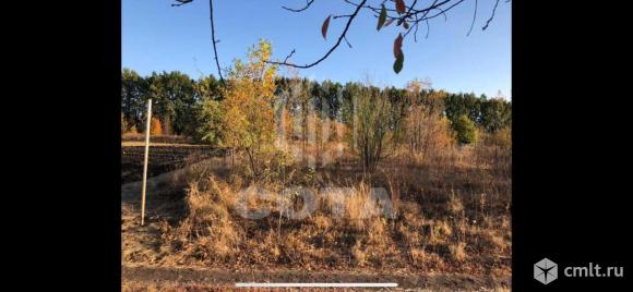 Участок 15 сот.. Фото 4.