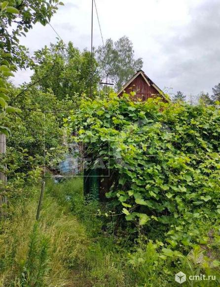 Участок 5,5 сот.. Фото 1.