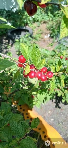 Дом 97 кв.м. Фото 20.