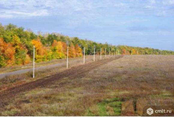 Участок 37 500 сот.. Фото 1.