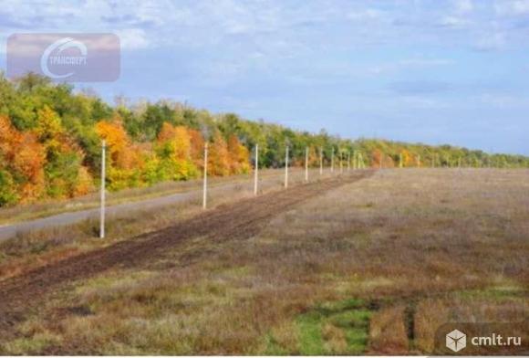 Участок 37 500 сот.. Фото 4.