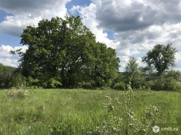 Участок 15 сот.. Фото 1.