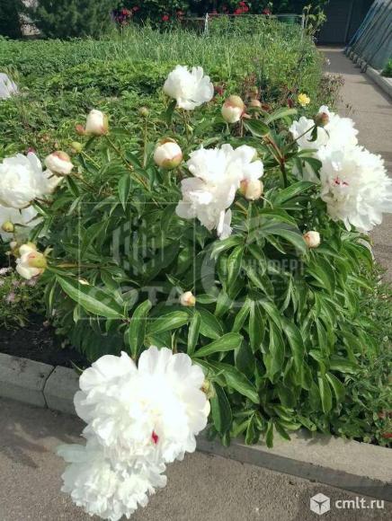 Дом 70 кв.м. Фото 20.