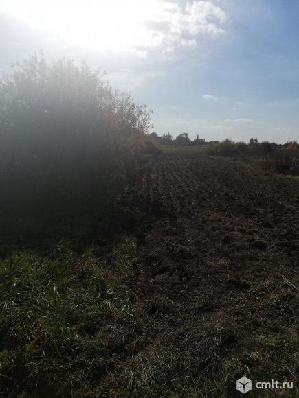 Участок 16,1 сот.. Фото 1.