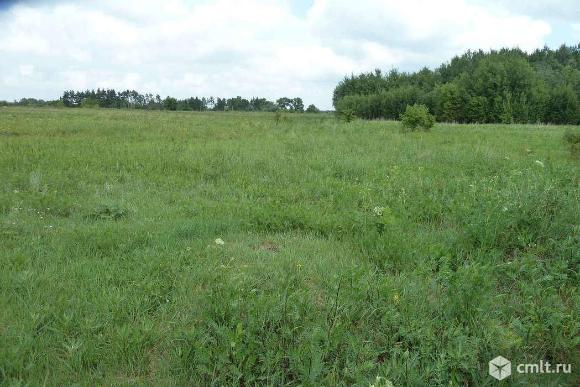 Участок 72 сот.. Фото 1.