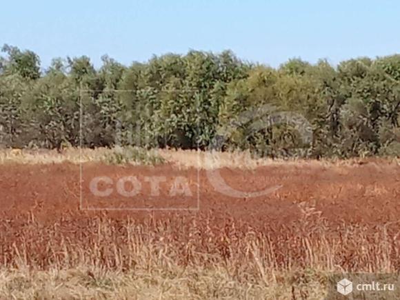 Участок 6 сот.. Фото 1.