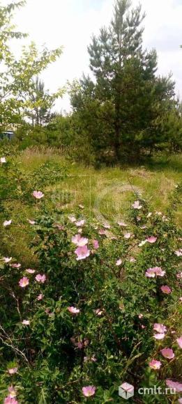 Участок 6 сот.. Фото 1.