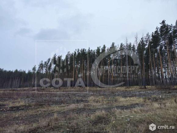 Участок 6,55 сот.. Фото 7.