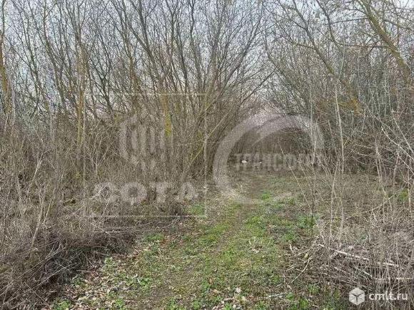 Участок 15 сот.. Фото 1.