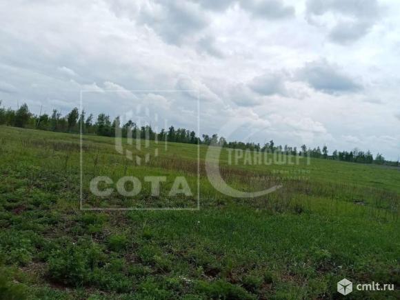 Участок 100 сот.. Фото 1.