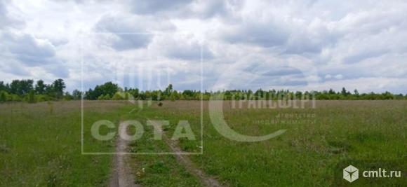 Участок 100 сот.. Фото 11.