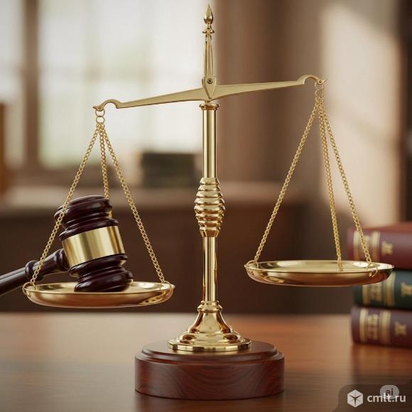 Услуги арбитражного юриста в Новосибирске. Фото 1.