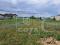 Участок 10,06 сот.. Фото 6.