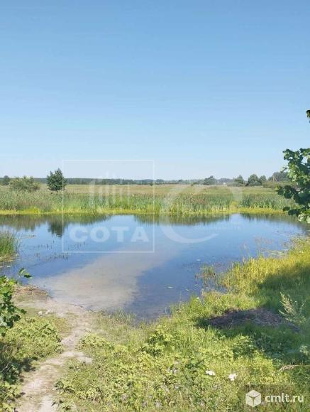 Участок 30 сот.. Фото 6.