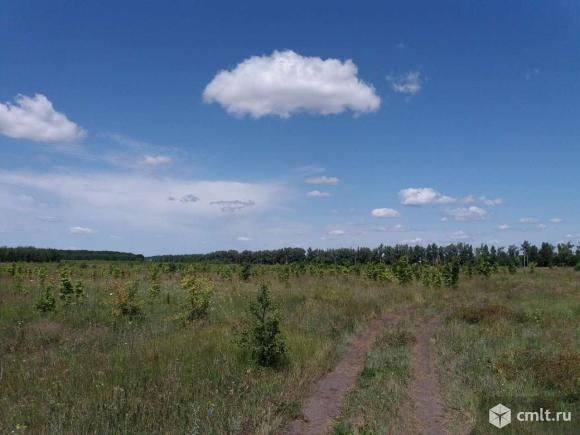 Продаю участок коммерческого назначения. Фото 1.