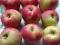 Яблоки и красная алыча со своего огорода. Фото 4.