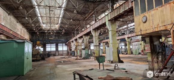Производство 1350- 12000 кв.м. с кранами сдам. Фото 1.