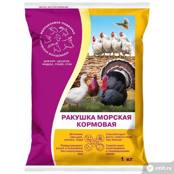 Ракушка морская кальциевая подкормка для кур, голубей и декоративных птиц 1кг. Фото 1.