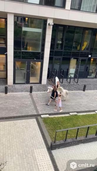 Продажа квартиры в Садовых Кварталах, Хамовники. Фото 1.