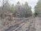 Участок 10 сот.. Фото 7.