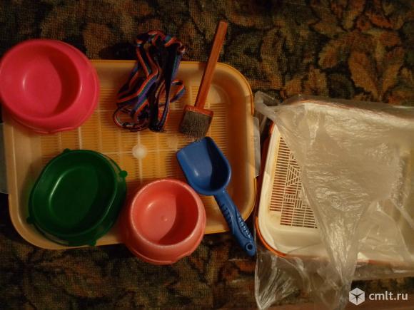 Товары для животных. Фото 1.