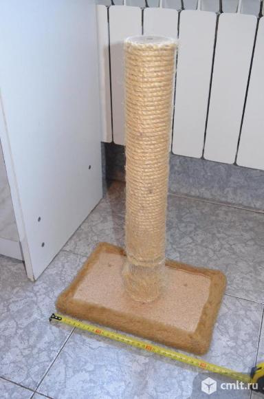 Когтеточка столбик. Фото 1.