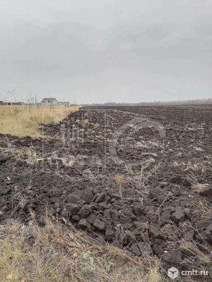 Участок 20 сот.. Фото 3.