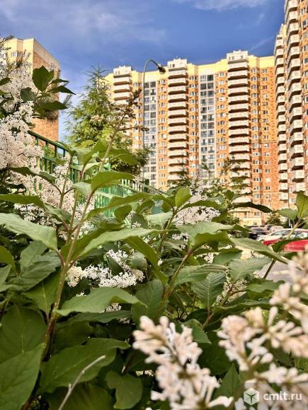 Продам 1-комн. квартиру 44.6 кв.м.. Фото 1.