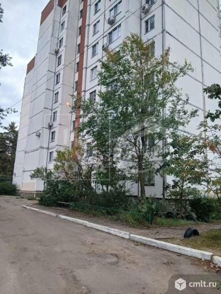 2-комнатная квартира 54,4 кв.м. Фото 1.