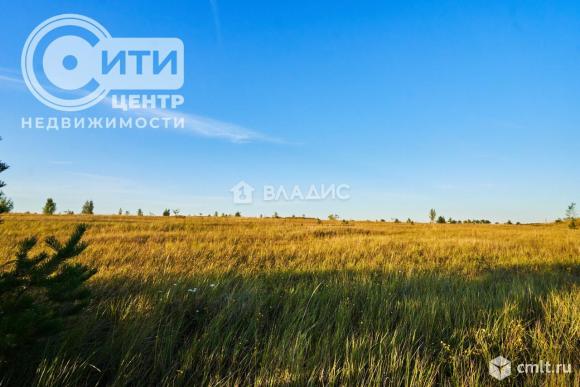 Участок 8 сот.. Фото 1.