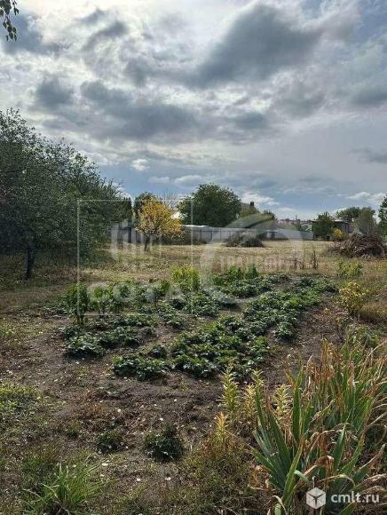 Участок 29 сот.. Фото 1.