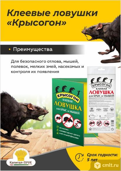 Клеевые ловушки Крысогон от крыс и мышей.. Фото 1.