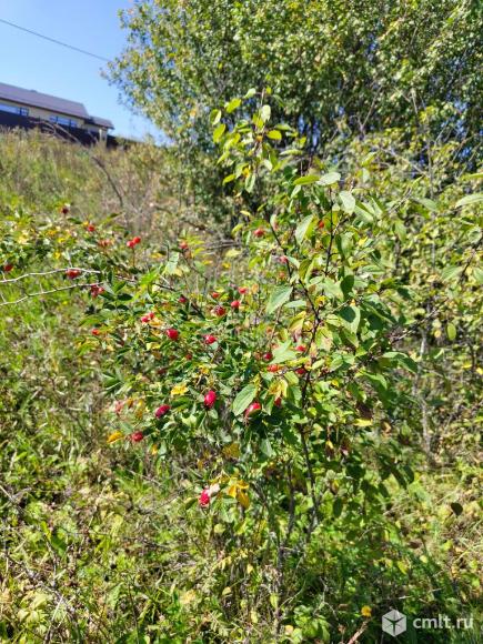 Участок 6,56 сот.. Фото 15.