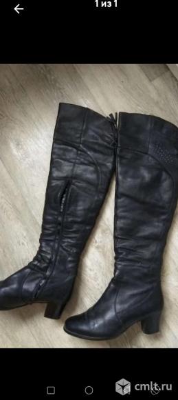 Сапоги женские ботфорты. Фото 1.