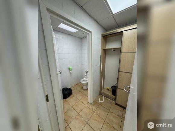 Торговое помещение 385.3 м2. Фото 9.