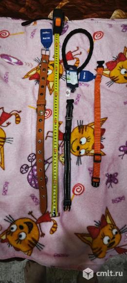 Продам ошейник. Фото 1.