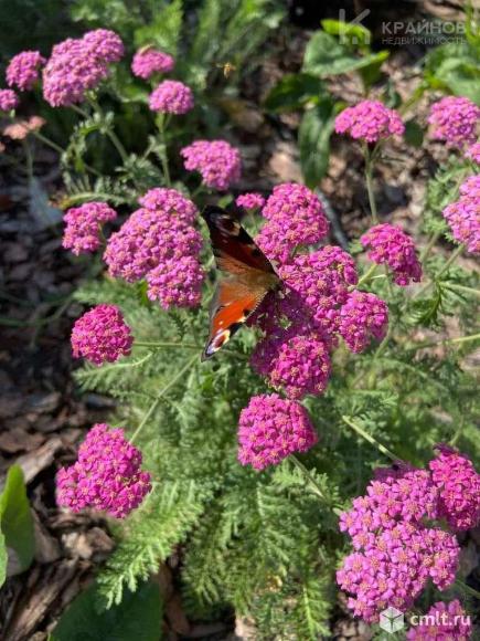 1-комнатная квартира 42,2 кв.м. Фото 11.