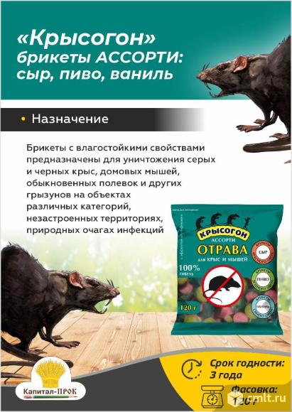 Крысогон ассорти 120г отрава от крыс и мышей.. Фото 1.