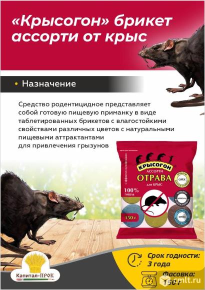 Крысогон ассорти 150г отрава от крыс и мышей.. Фото 1.