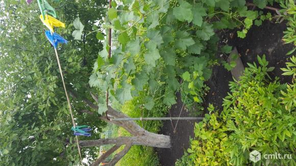 Дача 27 кв.м. Фото 17.