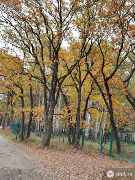 1-комнатная квартира 28,3 кв.м. Фото 19.