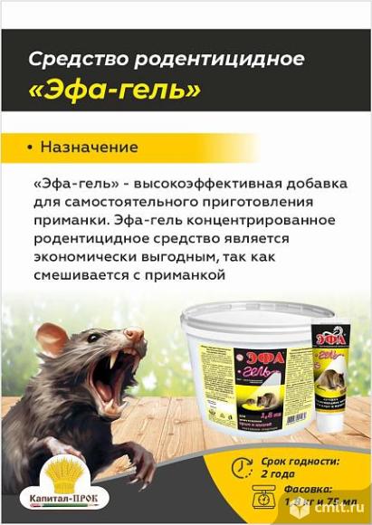 Эфа концентрированный гель для приготовления приманок от крыс и мышей 75мл. Фото 1.