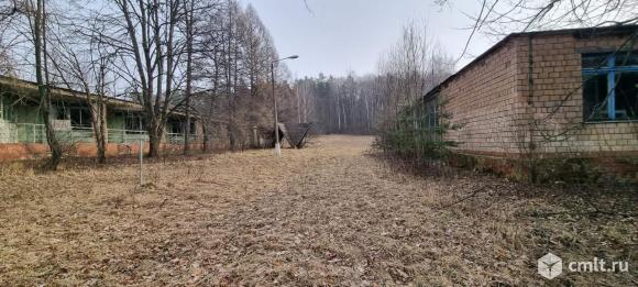 База отдыха "Лесные дали". Фото 19.