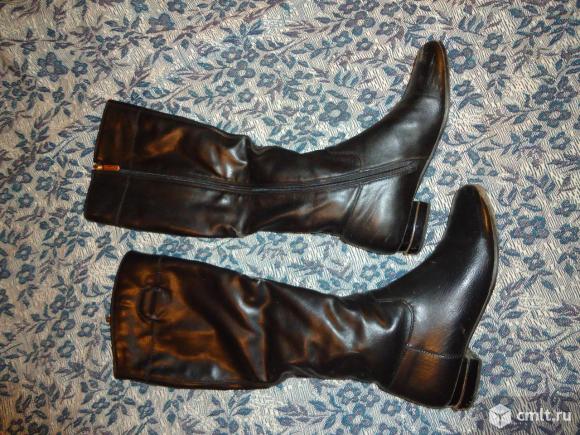Сапоги женские кожаные р-р 38. Фото 1.