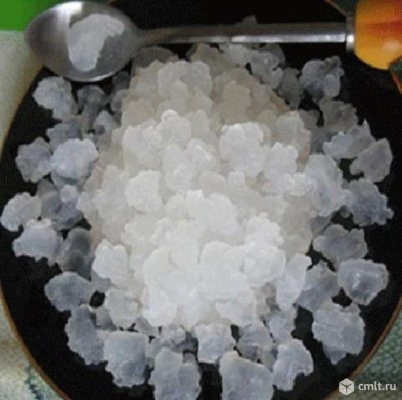 Морской индийский рис. Фото 1.