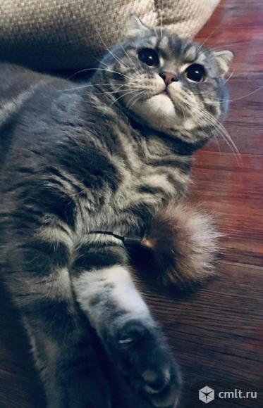 Ветеринарный врач на дому. Фото 1.