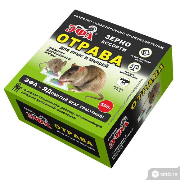 Эфа зерно от крыс и мышей.. Фото 1.